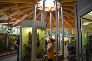 Das Reptilienhaus im Augsburger Zoo - ein tolles Ausflugsziel für Familien in Bayern